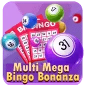 Multi Mega Bingo Bonanza game cover